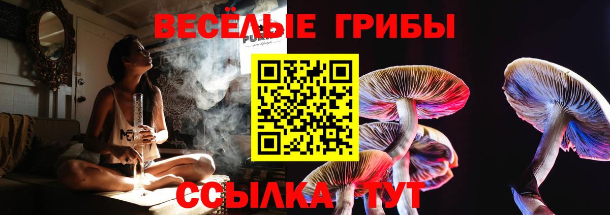 Псилоцибиновые грибы ЛСД Тында
